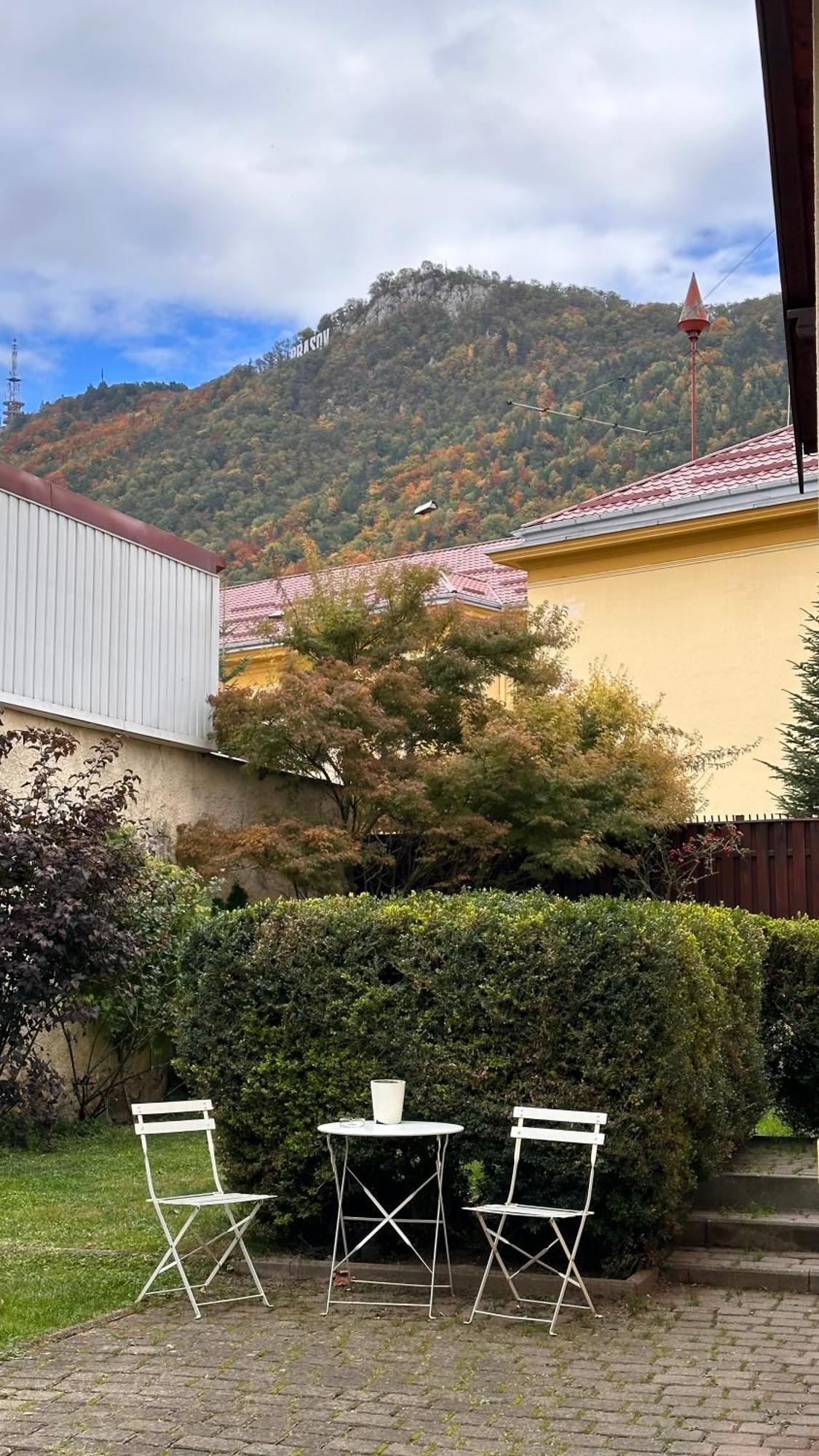 Marvellous Cozy In Old Center Town